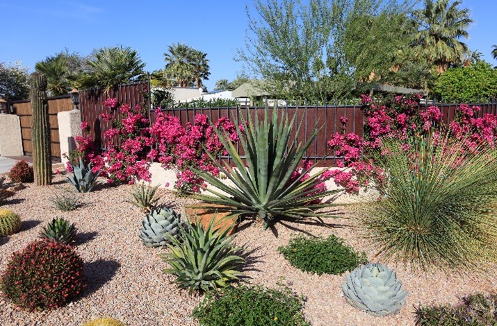 Drought-Tolerant Plants: Saves 30-60 gallons per 1,000 sq ft per watering..