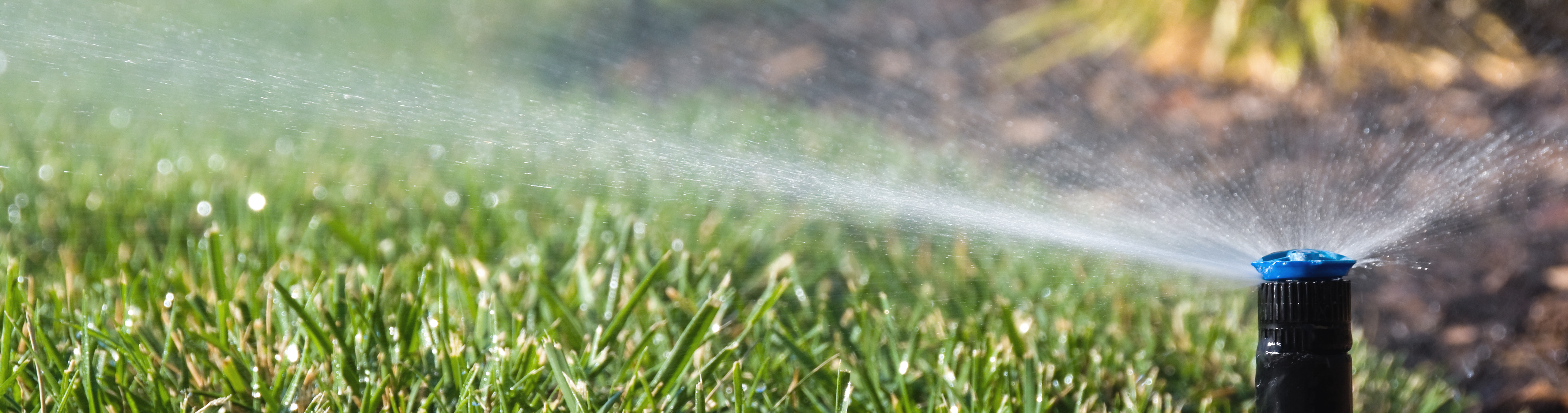 Sprinkler spraying a lawn